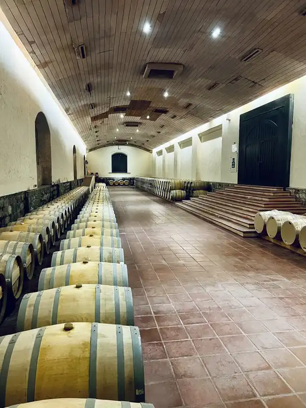Rows of wine barrels in a white barrel hall with a tiled floor